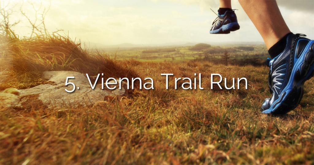 5. Vienna Trail Run am 16.8.2020 am Cobenzl
