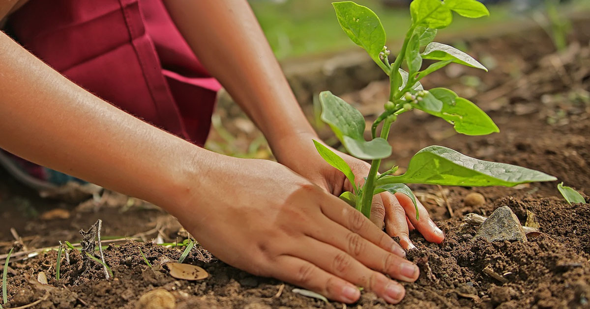 Körperliche Gesundheit und die Natur