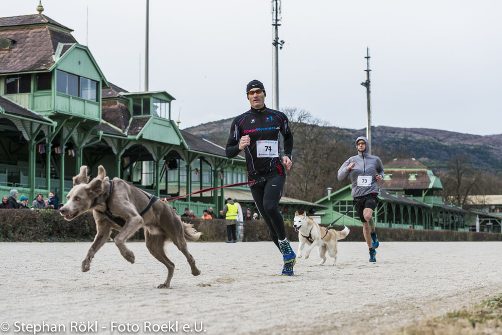 3. Speedtrail Race Wien - Wiener Meisterschaft am 21.1.2017