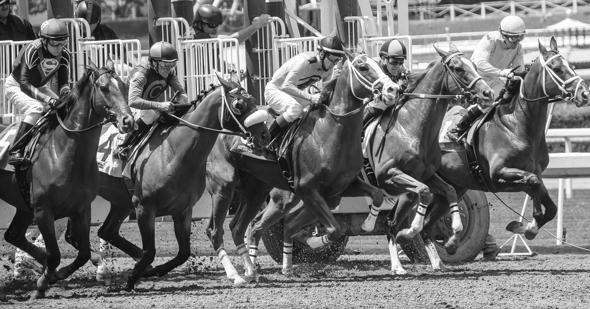 7 Regeln über beste Sportwetten Anbieter, die gebrochen werden sollen