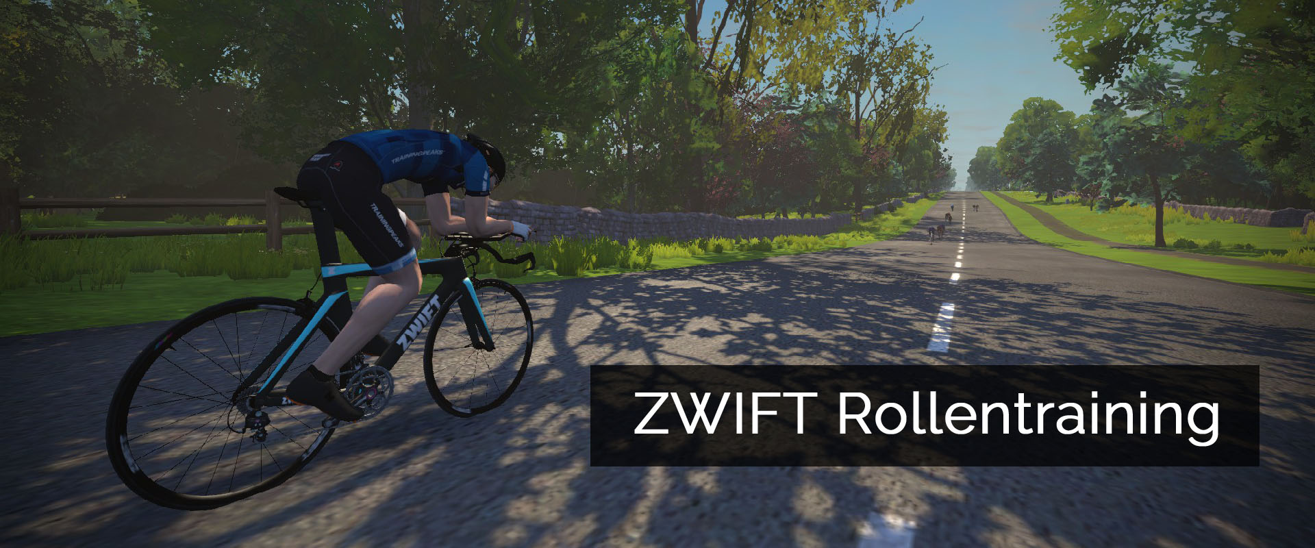 Online Radtraining mit Zwift