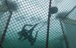 Unterwasser-Eishockey