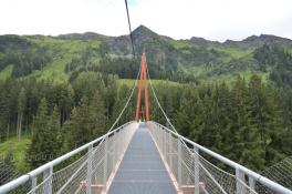 Baumzipfelweg