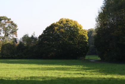 Lainzer Tiergarten