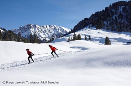 Skigebiet Bregenzerwald