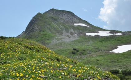 Schwarzkopf Flachau Zauchensee