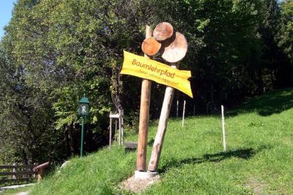 Baumlehrpfad St. Johann