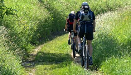 Mountainbiken Windischgarsten