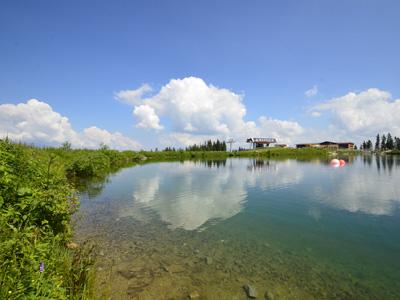 Grafenbergsee