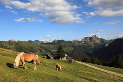 Wandern Henebichlalm