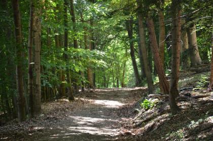 Wanderwege Naturpark Sparbach