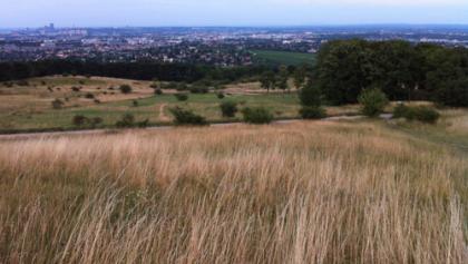 Perchtoldsdorfer Heide