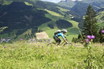 Seidl-Alm Saalbach