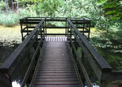 Teich im Wald Parapluiberg