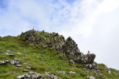 Sommer- und Bergsport in Kitzbühel