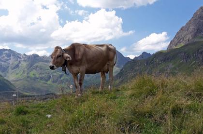 Bergsportgebiet Montafon