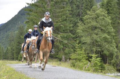 Flachau Sommer