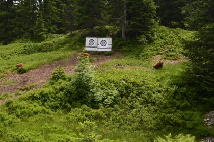 Bogenschießen Hochkönig