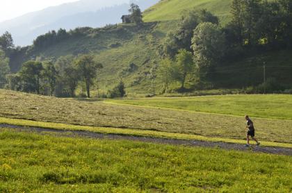 Sankt Johann Alpendorf Sommer