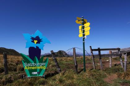 Salzburger Almenweg Großarl