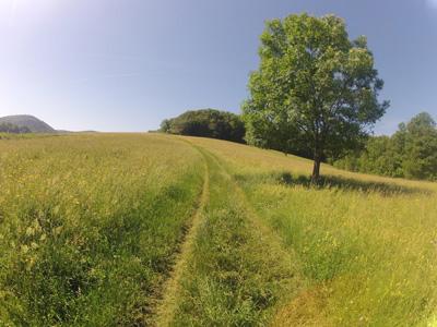 Sport Wienerwald