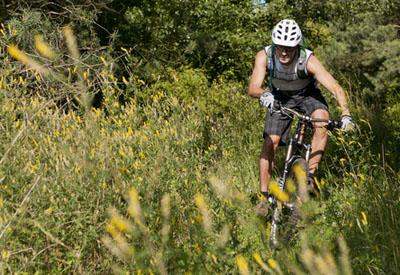 Mountainbiken Mondsee