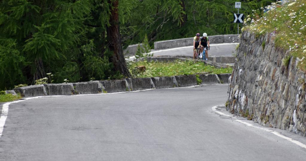 alpine radrennen österreich