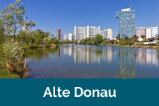 Alte Donau