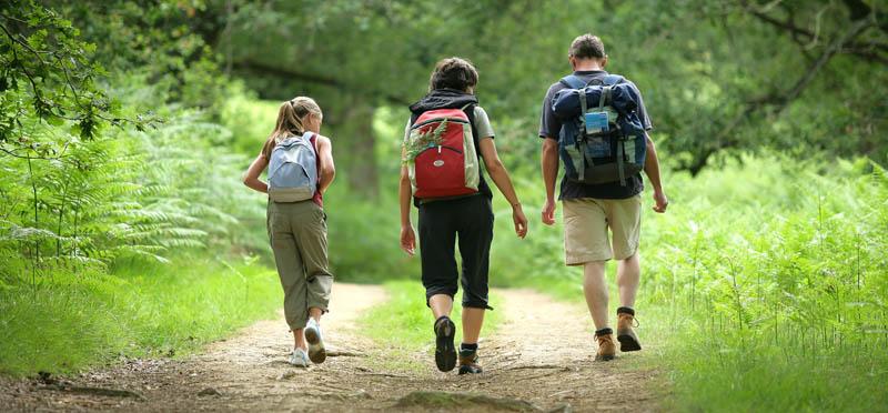 Wandern auf der Eisenaueralm