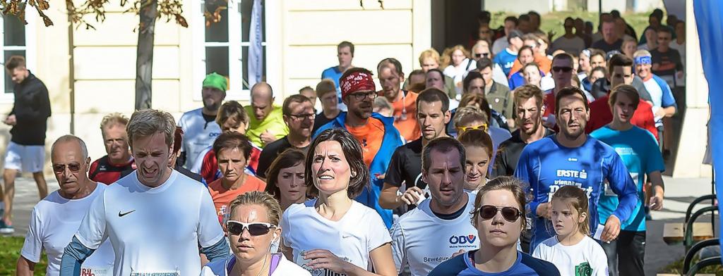 Krebsforschungslauf 2018