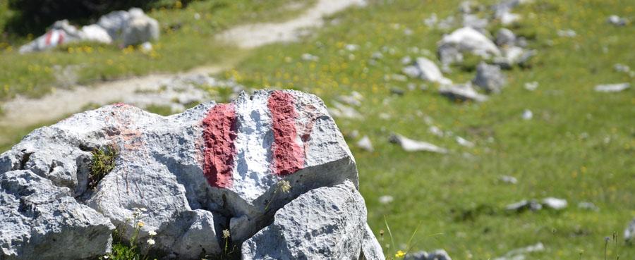 Wandern in Maria Alm