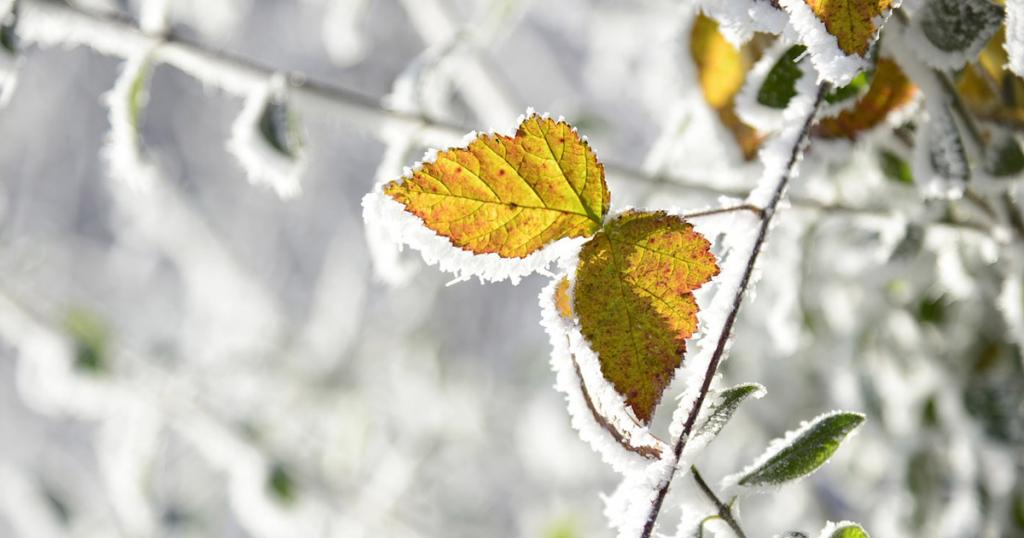 Mittel gegen Winterdepression