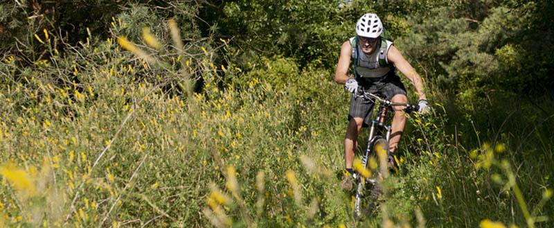 Mountainbiken Mondseeberg