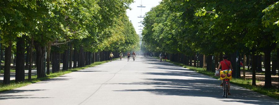 Prater Hauptallee