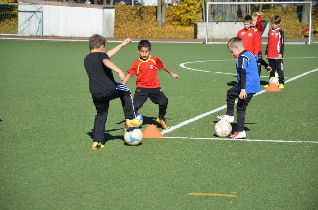 Soccerscholl Wien