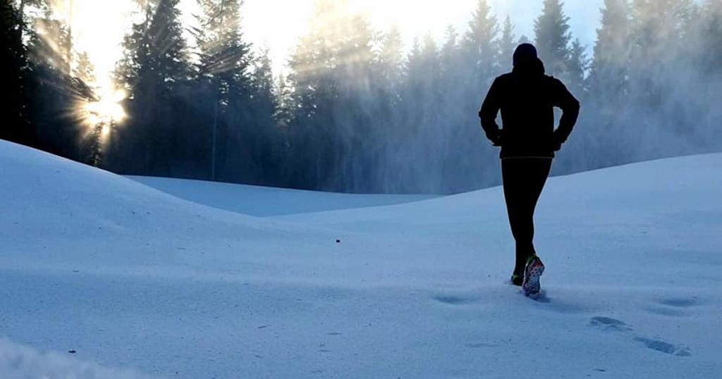 vienna winter trail