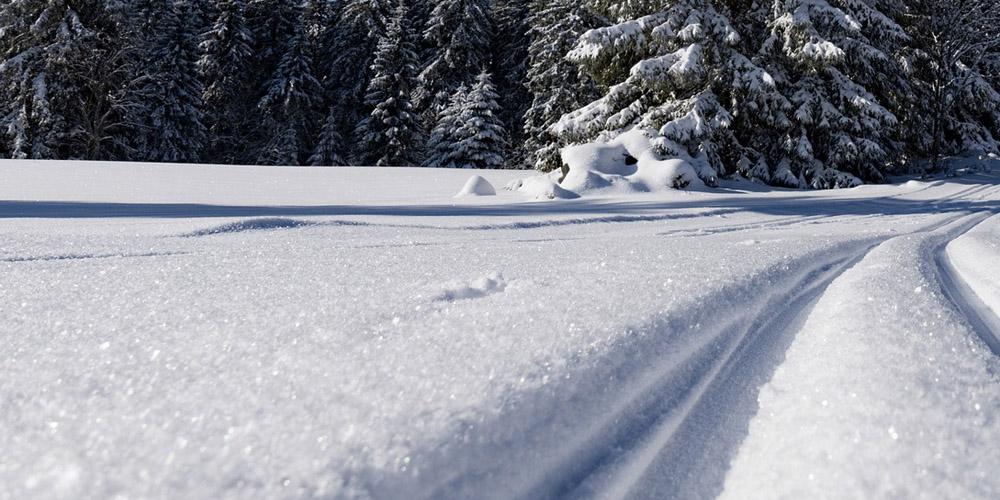 Nacht-Wintertriathlon in St. Jakob im Walde am 4. Jänner 2020