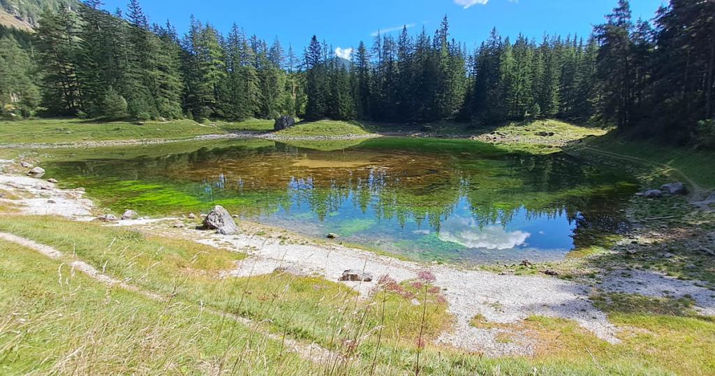 Grüner See bei niedrigem Wasserstand im Spätsommer