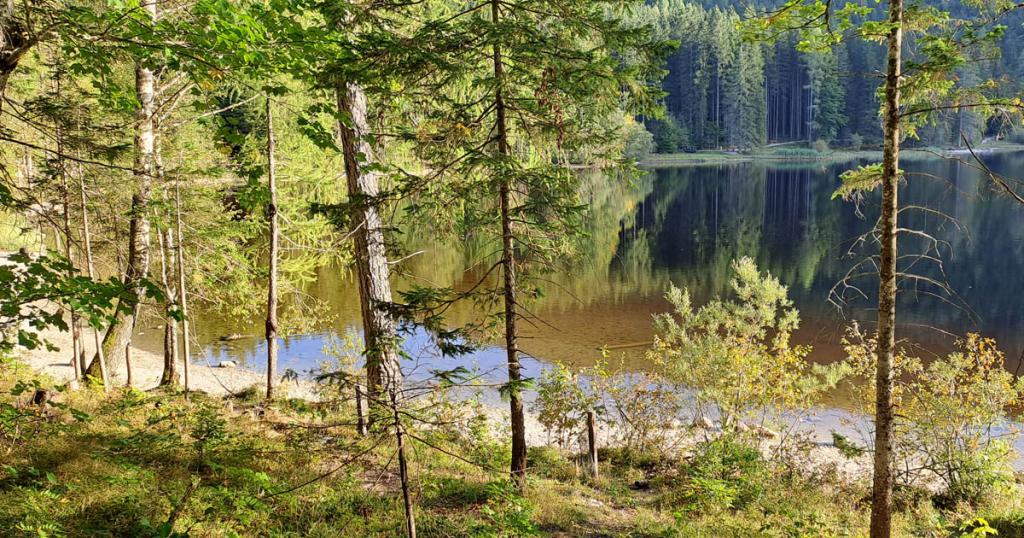 wandern am ödensee