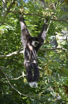 Zoo Salzburg